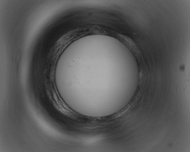 X0000094060765200710190933