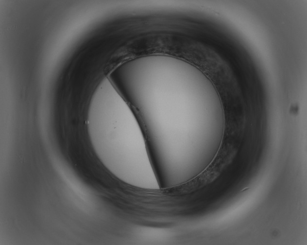 X0000094060766200710190933