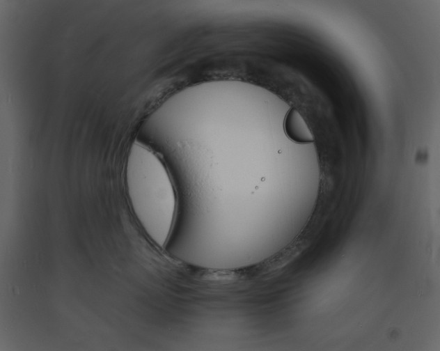 X0000094060767200710190933