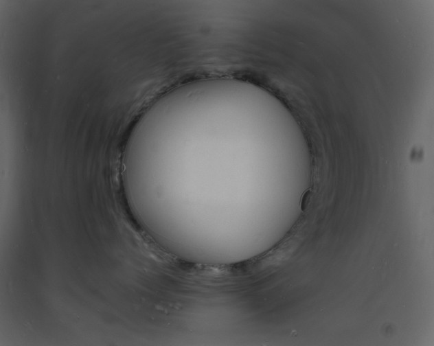 X0000094060768200710190933