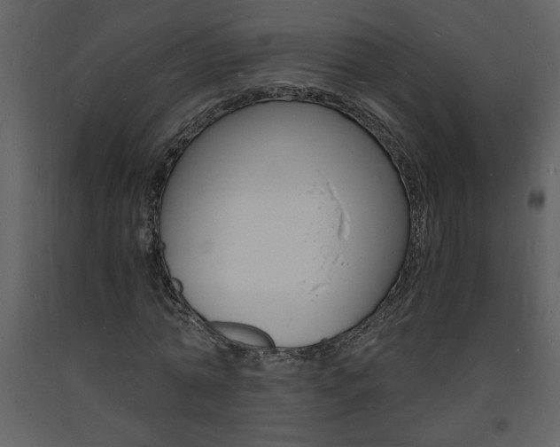 X0000094060774200710190932
