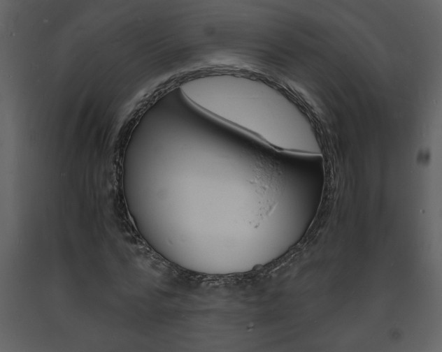 X0000094060776200710190932