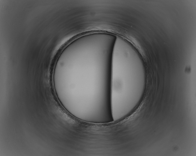 X0000094060780200710190932