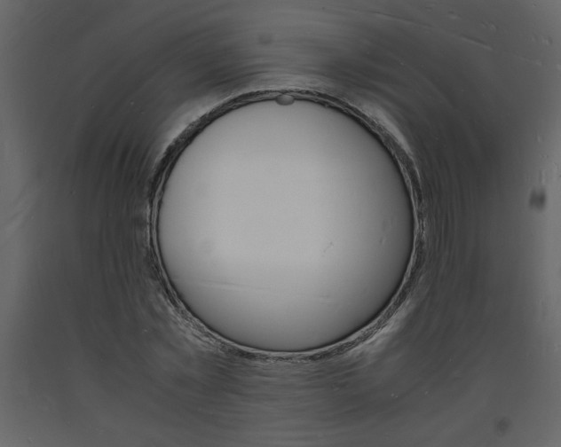 X0000094060781200710190932