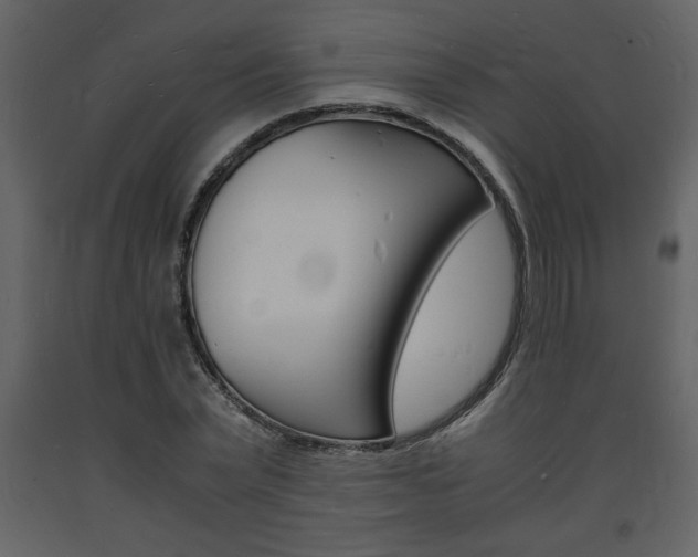 X0000094060783200710190932