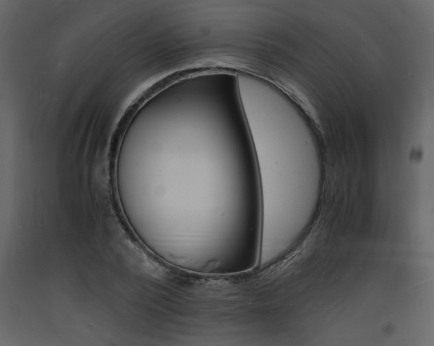 X0000094060784200710190932