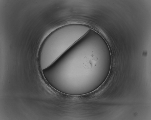 X0000094060787200710190932