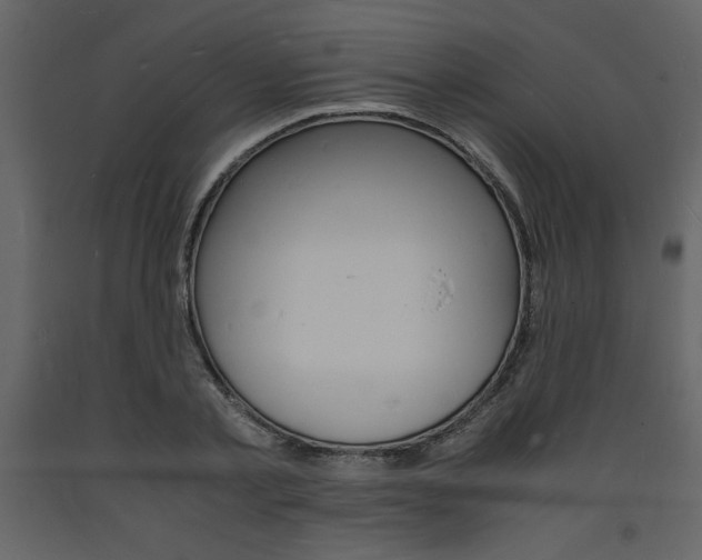 X0000094060789200710190932