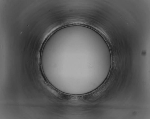 X0000094060790200710190932