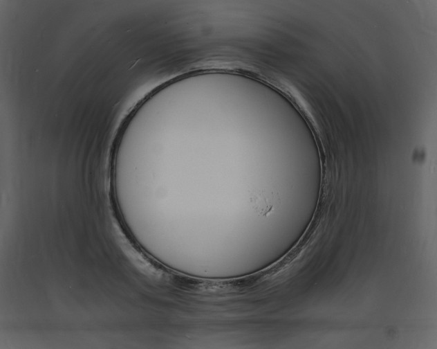 X0000094060795200710190932