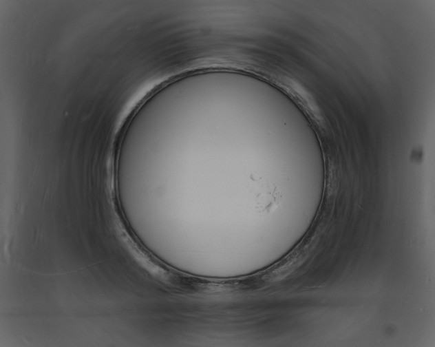 X0000094060796200710190932