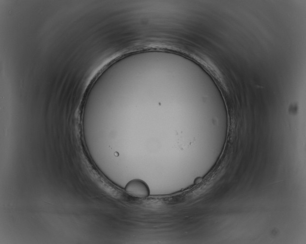 X0000094060798200710190932