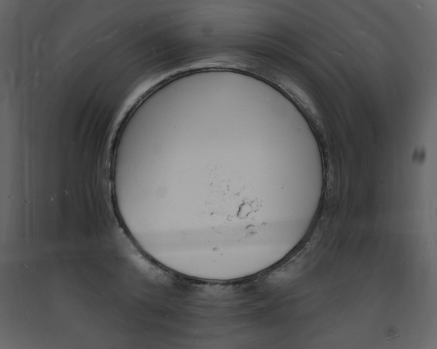 X0000094060800200710190932