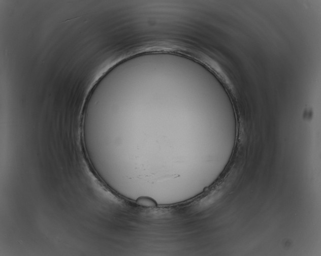X0000094060802200710190932