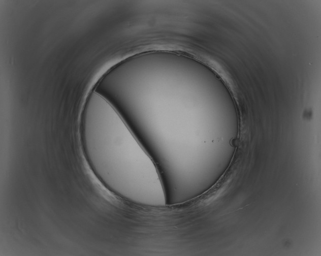 X0000094060803200710190932