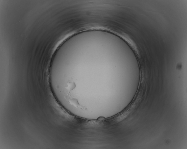 X0000094060806200710190932