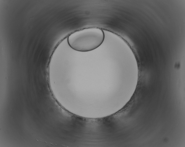 X0000094060807200710190932