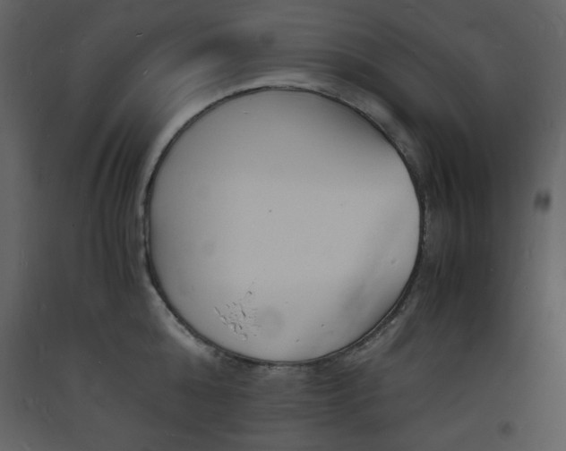 X0000094060808200710190931