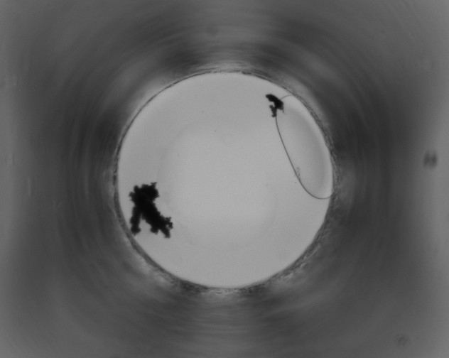 X0000094060810200710190931