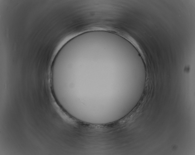 X0000094060811200710190931