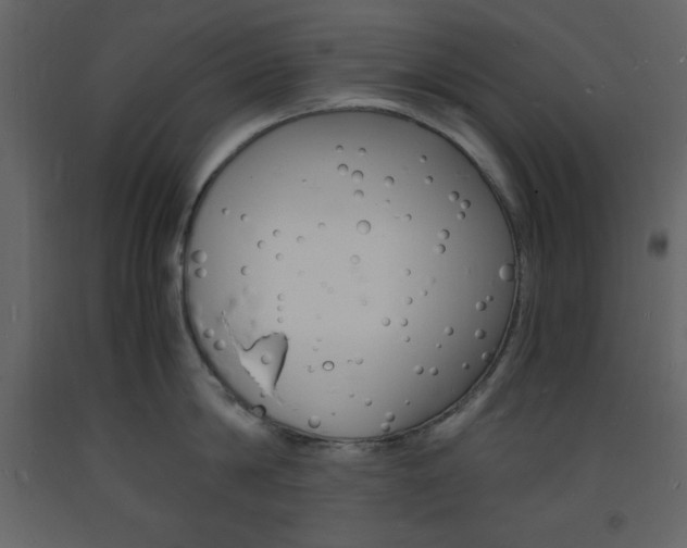 X0000094060814200710190931
