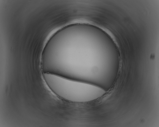 X0000094060815200710190931
