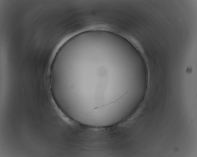 X0000094060816200710190931