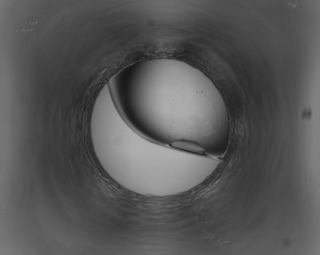 X0000094060818200710190931