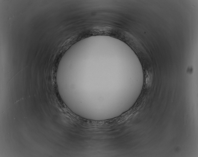 X0000094060819200710190931