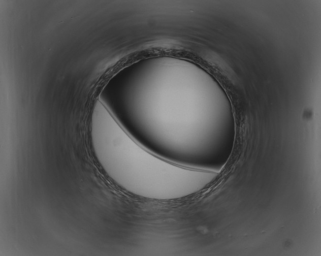 X0000094060822200710190931