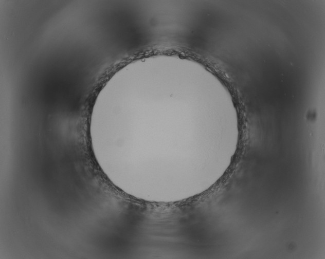 X0000094060824200710190931
