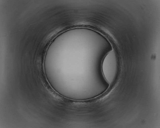 X0000094060825200710190931