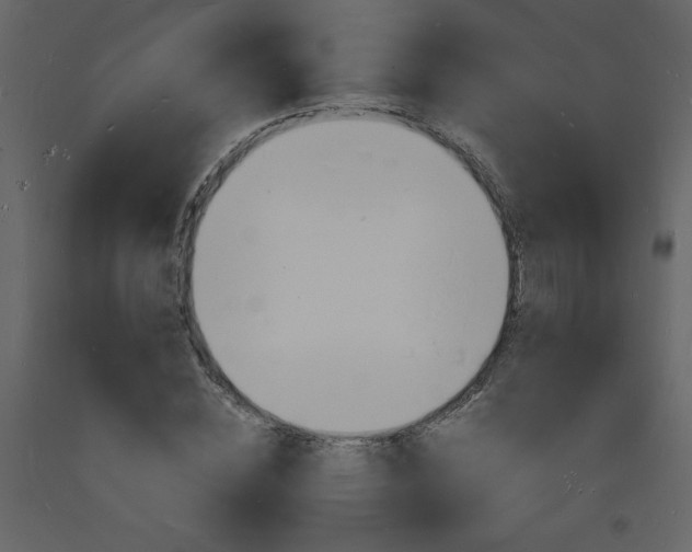 X0000094060828200710190931