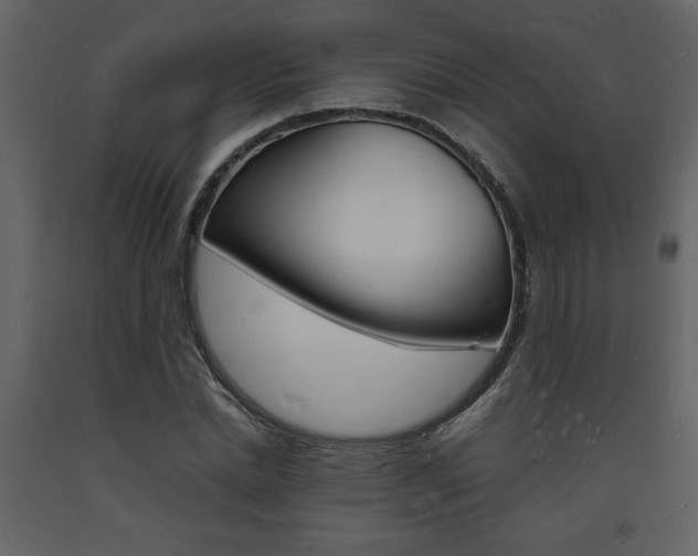 X0000094060830200710190931