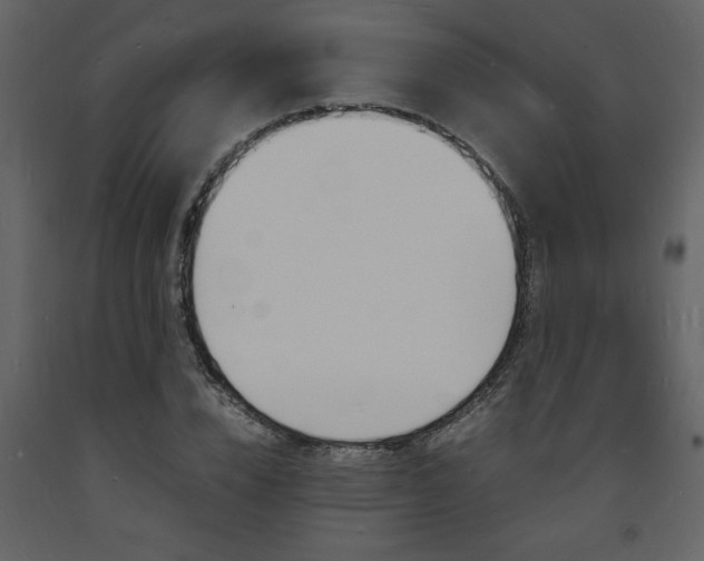 X0000094060832200710190931
