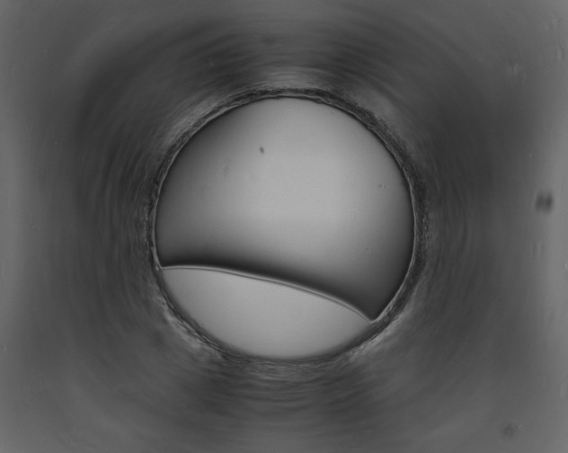 X0000094060833200710190931