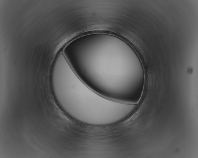 X0000094060834200710190931