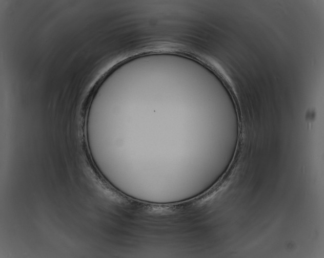 X0000094060835200710190931