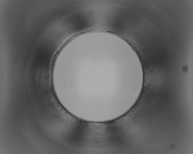 X0000094060836200710190931