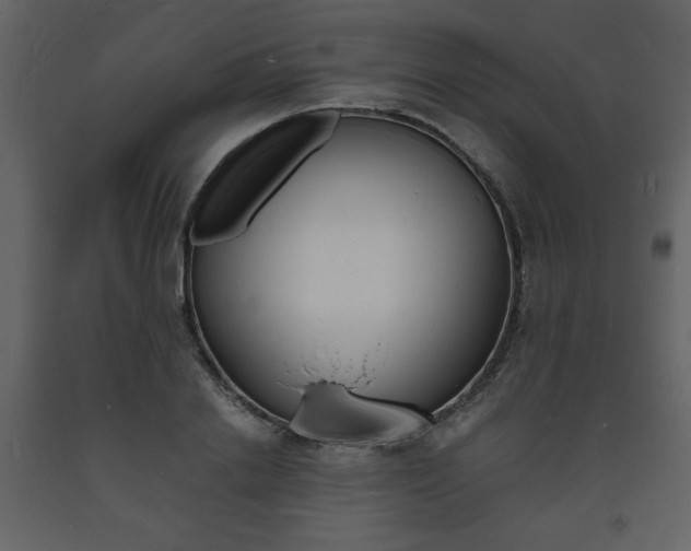 X0000094060838200710190931