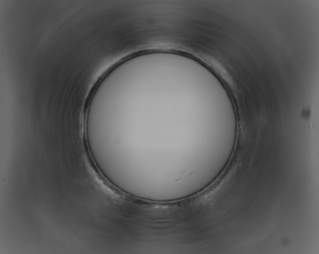 X0000094060839200710190931