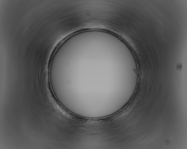 X0000094060840200710190931