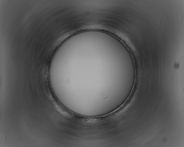 X0000094060841200710190931