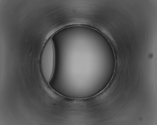 X0000094060842200710190931