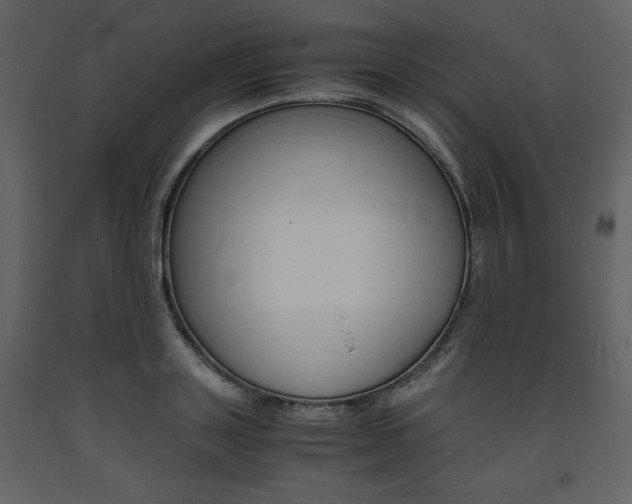 X0000094060843200710190931