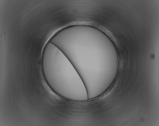 X0000094060844200710190931