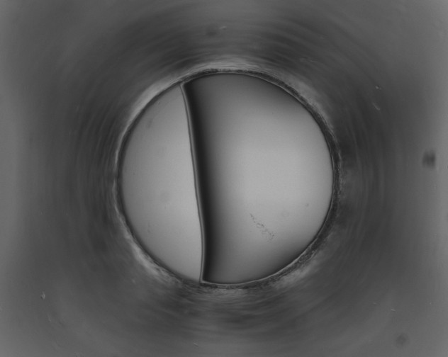 X0000094060845200710190931