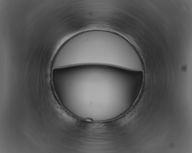 X0000094060846200710190931