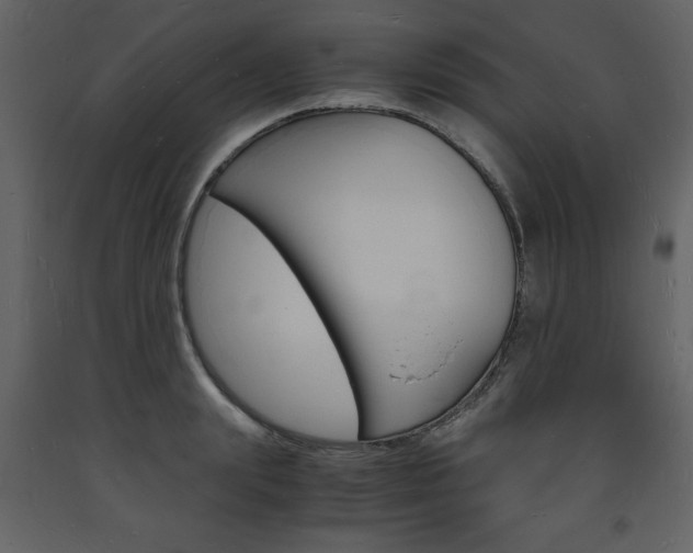 X0000094060847200710190931