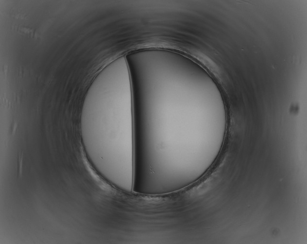 X0000094060849200710190931